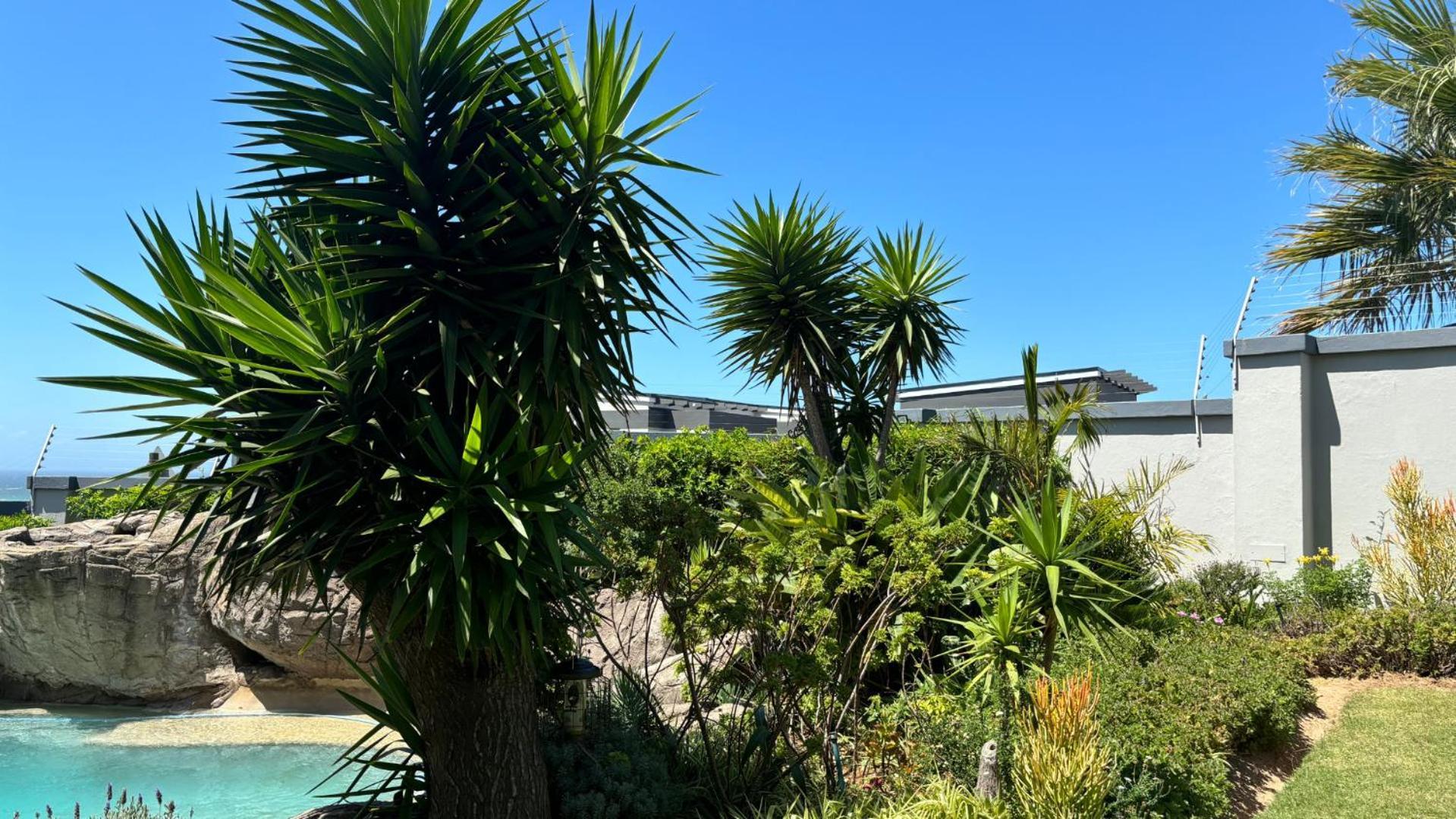 Sir Roys At The Sea Bed & Breakfast Port Elizabeth Exterior photo